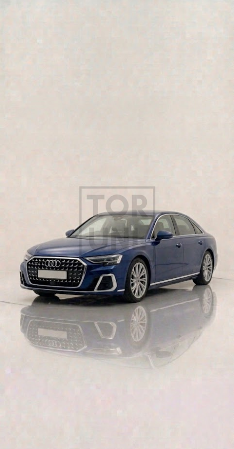 Audi A8/A8 L D5 Cat-Back