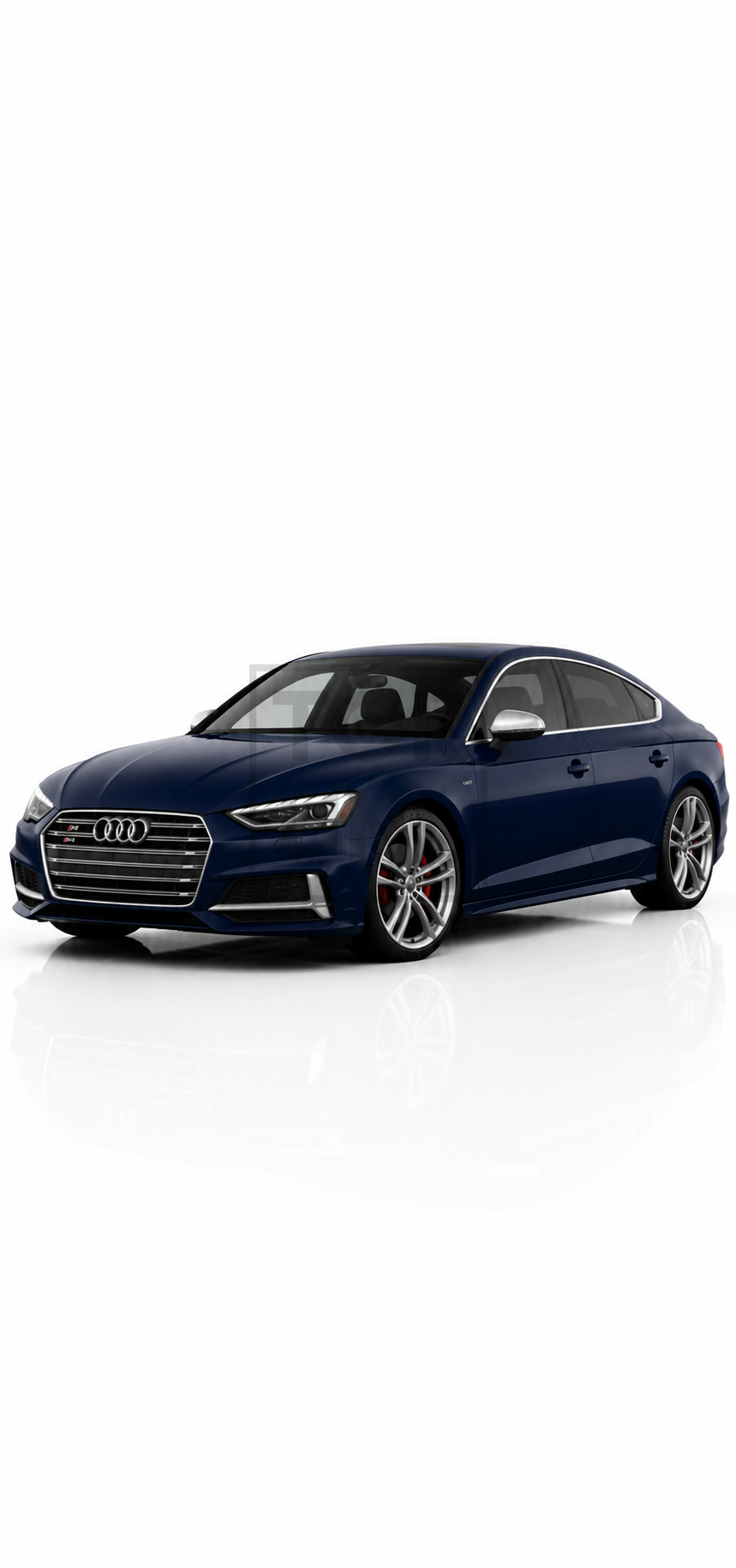 Audi S5 B9 Cat-Back