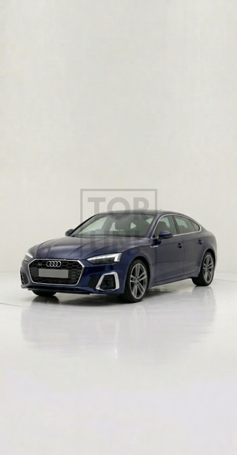 Audi A5 B9.5 Cat-Back