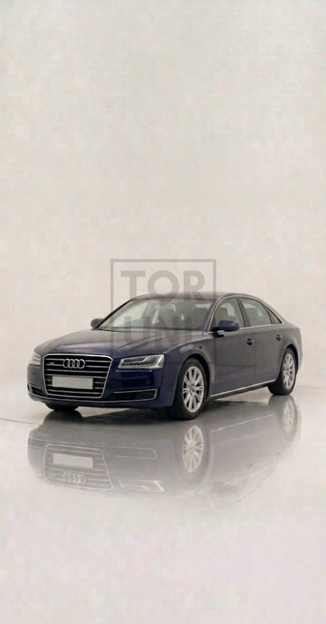 Audi A8/A8 L D4 Cat-Back