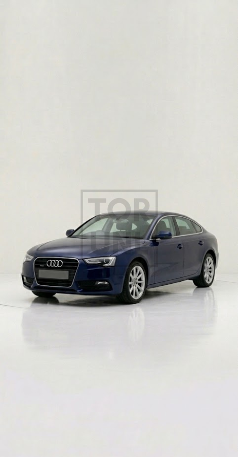 Audi A5 B8 Cat-Back