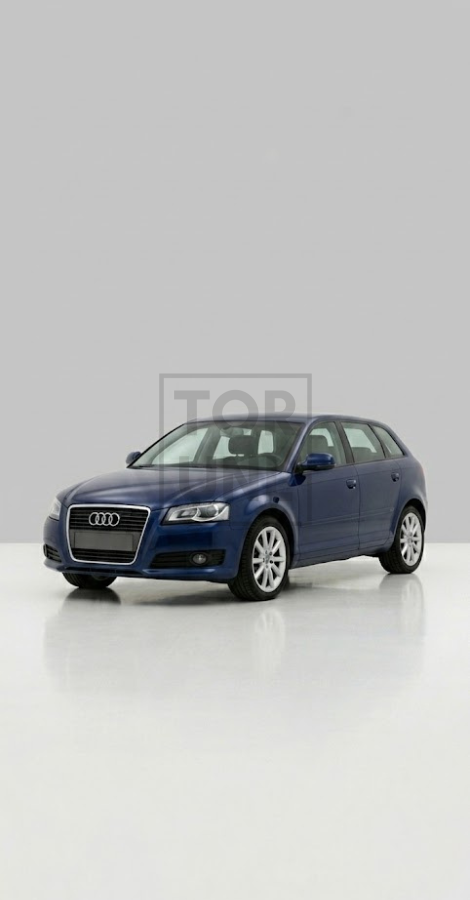 Audi A3 8P Cat-Back